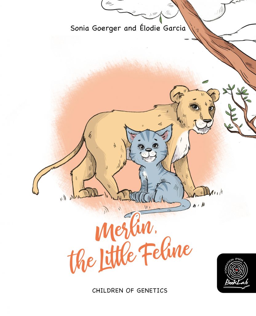 The image shows a front cover of Merlin, the little feline. It features a lion and its cub next to a tree branch.
